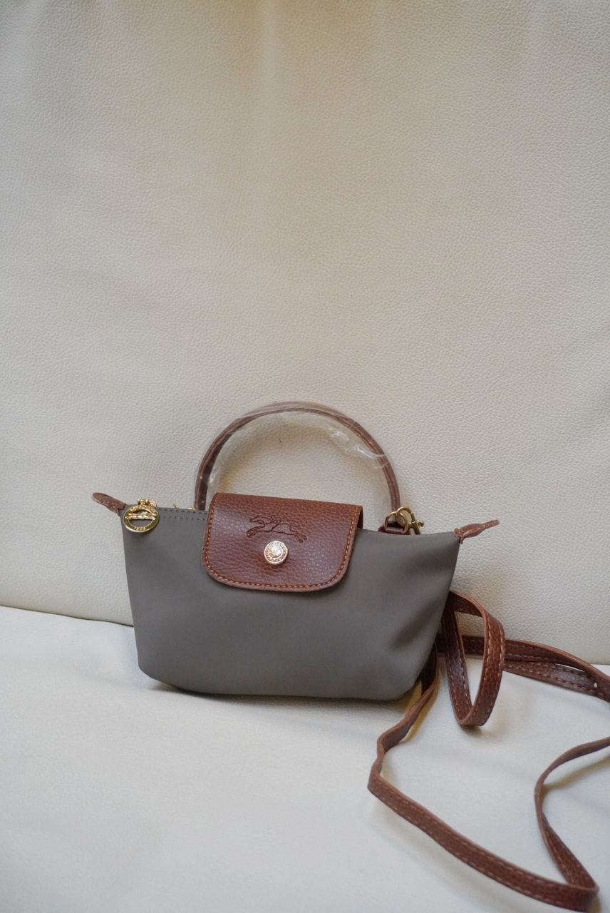 Mini sac longchamps gris 